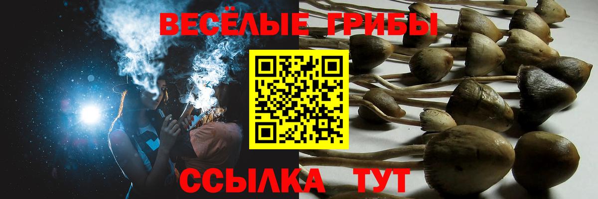 Белебей  Псилоцибиновые грибы GOLDEN TEACHER  Вход с VPN 